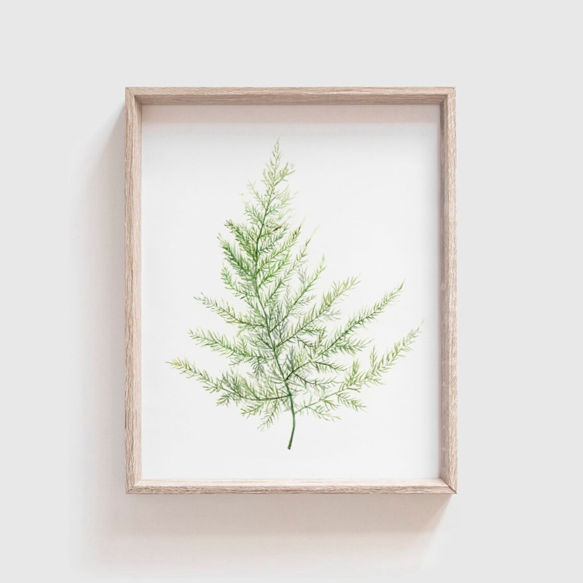Fern No 3 Watercolor Art Print, Botanical Study