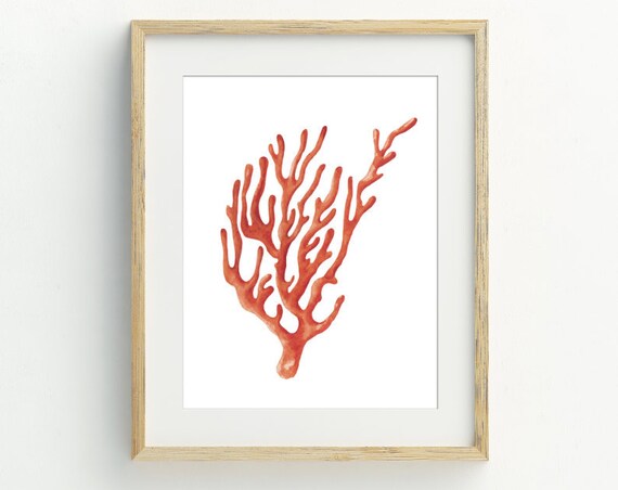 Coral Branch Print Coral Beach Decor Coastal Wall Art Nautical Art Beach Art 5x7 8x10 11x14