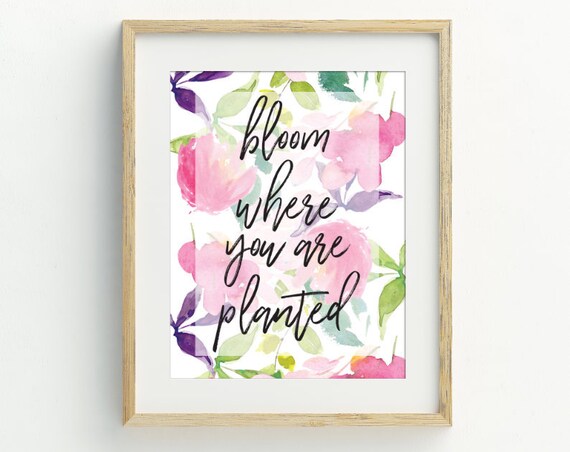 Bloom Where You Are Planted Floral Quote Pink Watercolor Wall Art Print