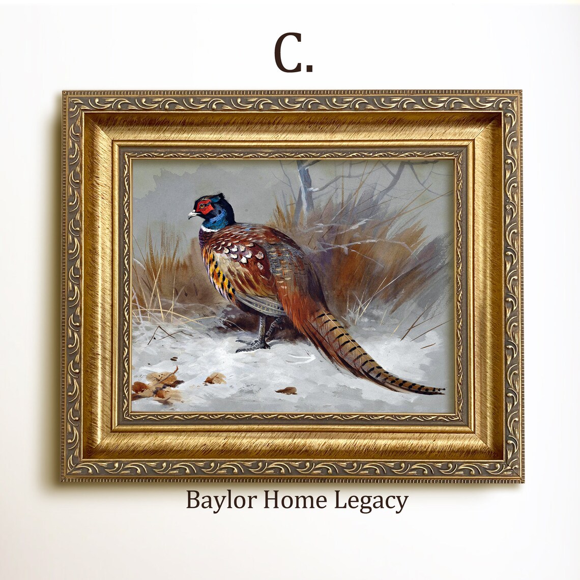 Ring-Neck Pheasant Vintage Bird Landscape Art Print - Image 3