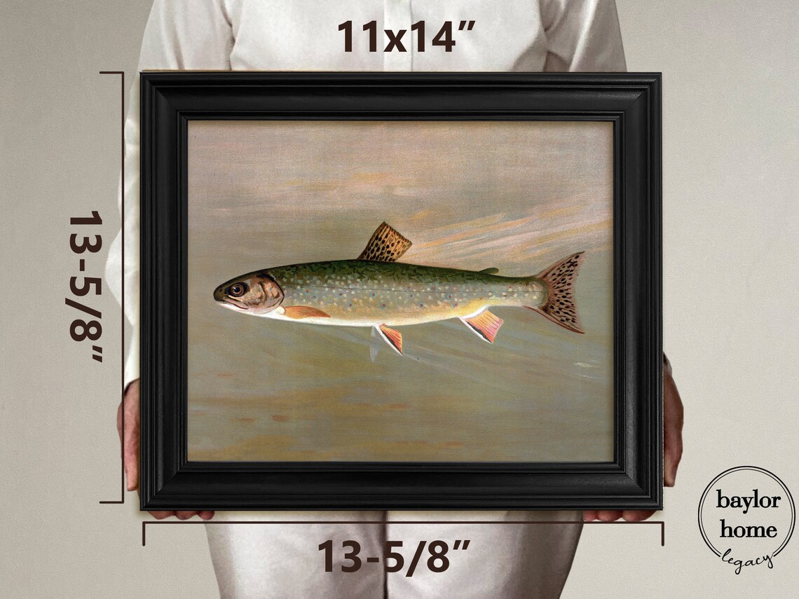 Brook Trout Swimming Detailed Vintage Fish Painting Nature Art Poster - Image 3