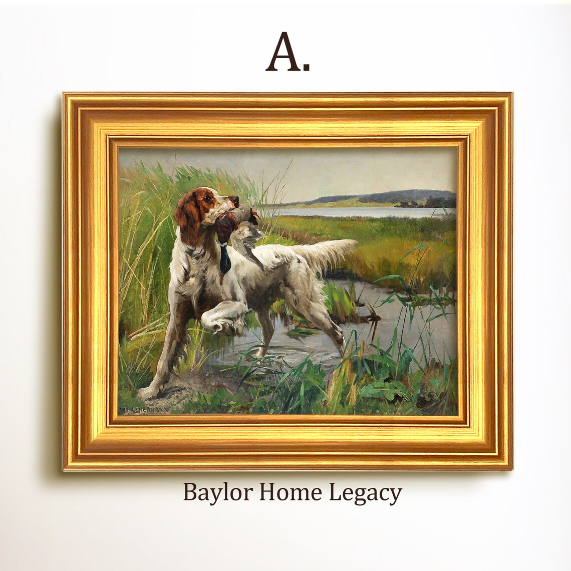 English Setter Retrieving A Mallard Duck, Vintage Oil Print - Image 5