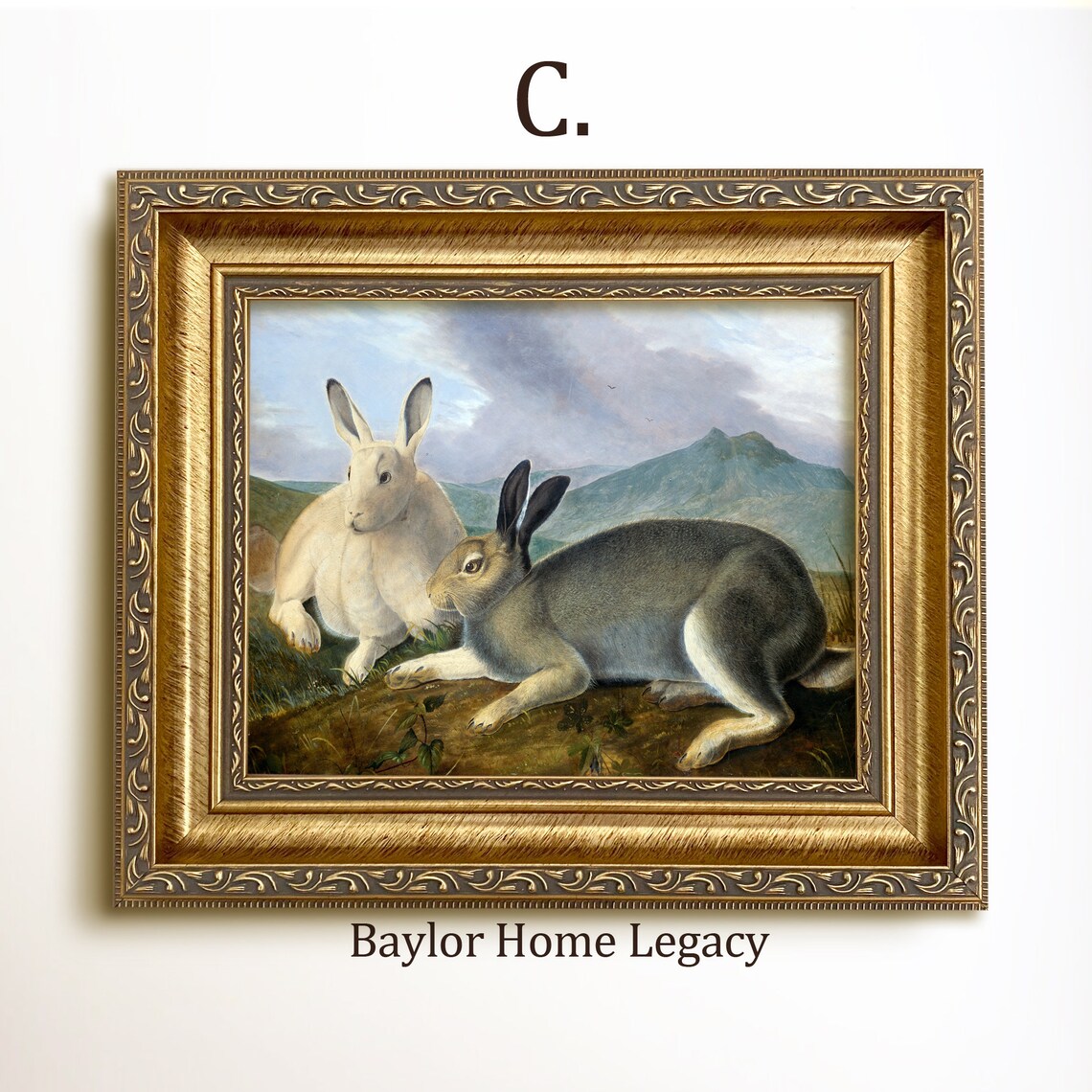 Two Hares Resting In Mountain Meadow Vintage Rabbit Wildlife Art Poster - Image 3