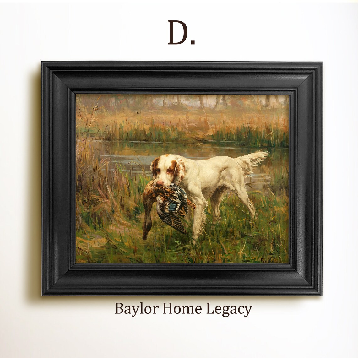Pointer Retrieving Mallard, Vintage Hunting Scene Art Print - Image 3