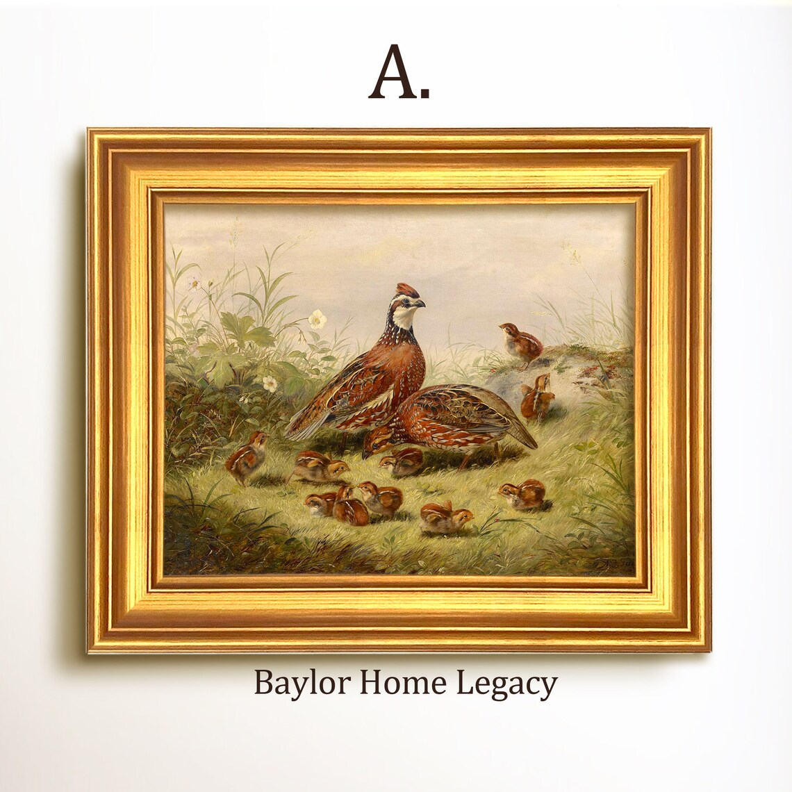 Bobwhite Quail and Chicks Oil Painting Art Print - Image 5