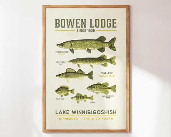 Bowen Lodge Lake Winnibigoshish Vintage Fish Species Chart Poster