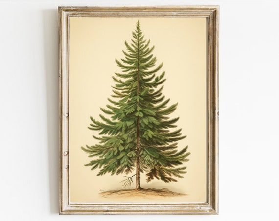 Vintage Christmas Tree Botanical Drawing Of Fir Tree Vintage Print Holiday Decor Moody Neutral Holiday Art Retro Print A1