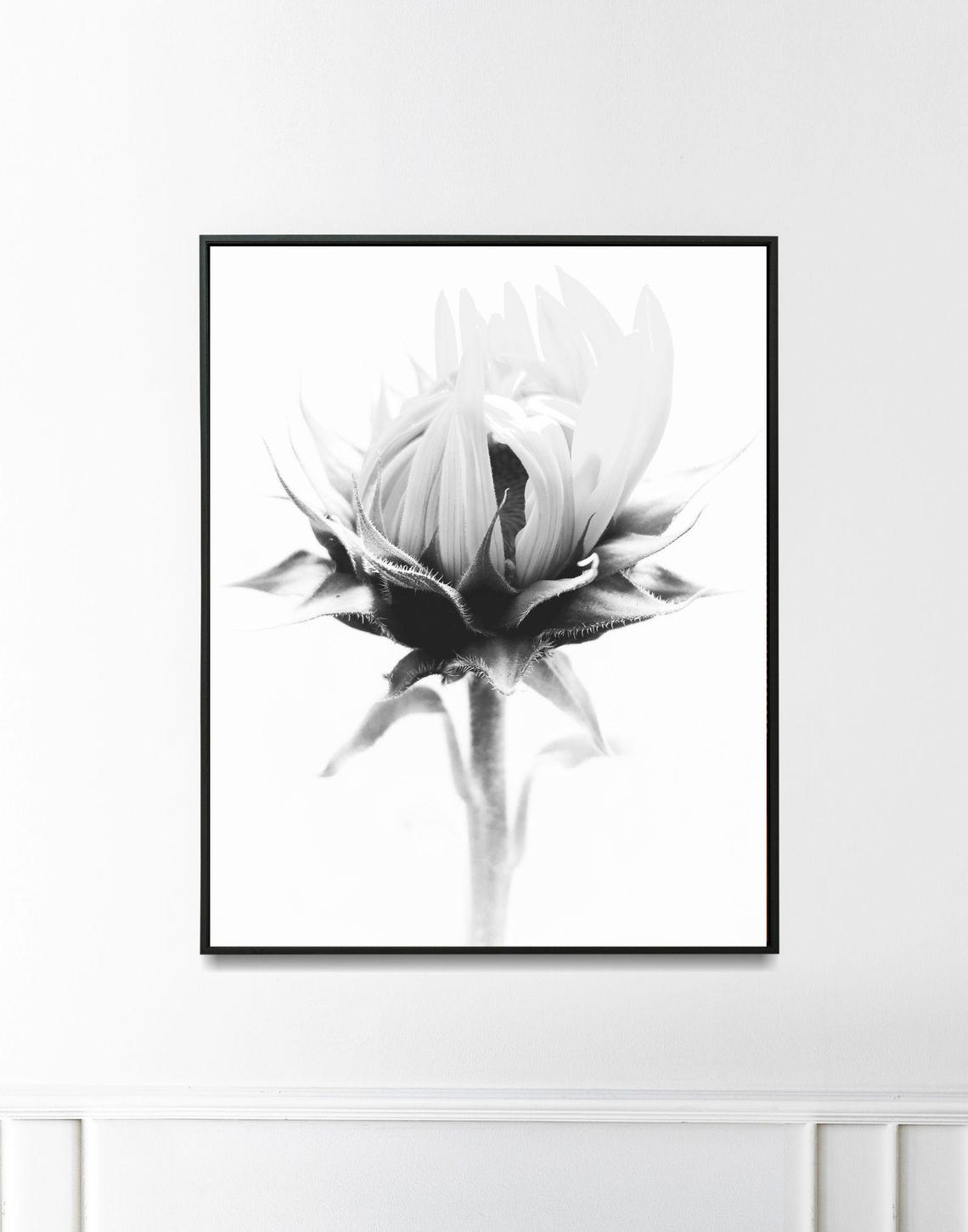 Black And White Flower Bud Close Up Minimalist Botanical Wall Art - Image 3