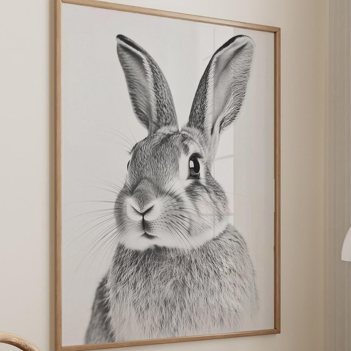 Black and White Rabbit Portrait Front View Bunny Photography Poster