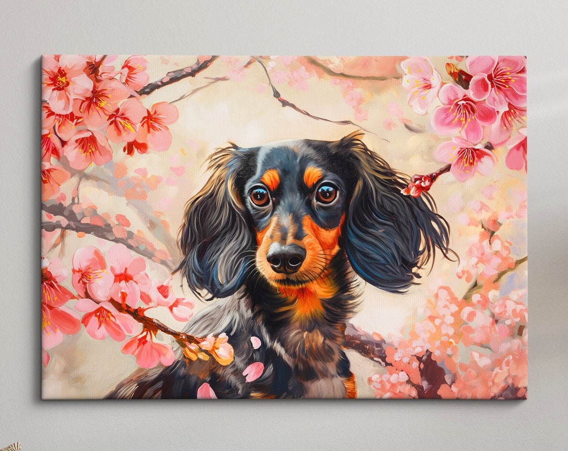 Long Haired Dachshund In Cherry Blossoms Cute Black Tan Dog Poster