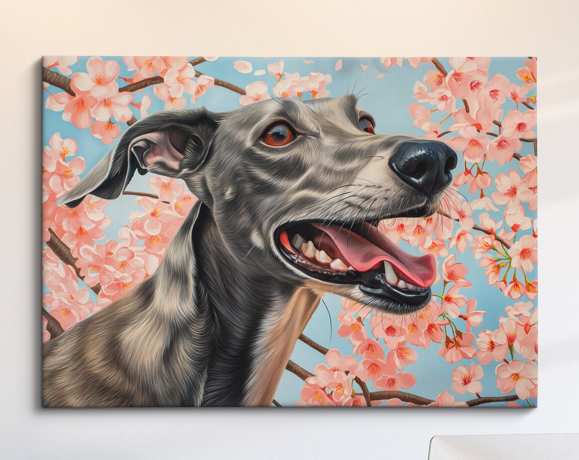 Grey Greyhound Side Profile Smiling In Cherry Blossoms Spring Poster