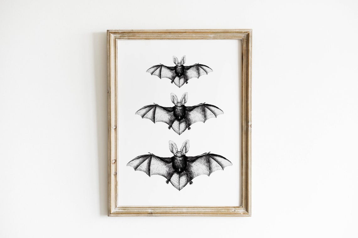 Three Bats Vintage Naturalist Illustration Halloween Spooky Poster - Image 2