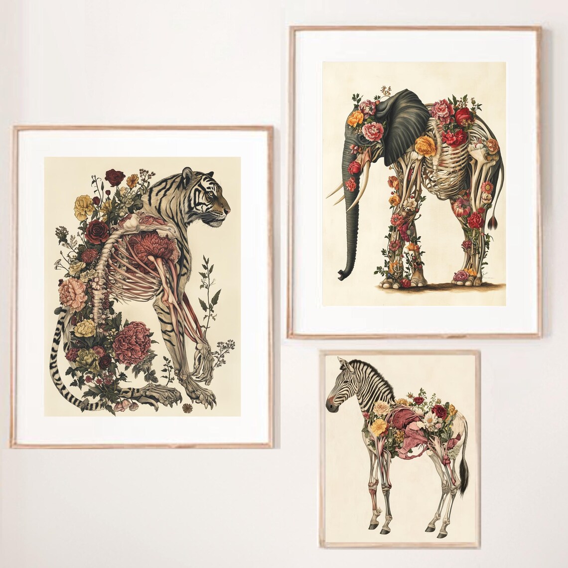 Whimsical Animal Anatomy Tiger Elephant Zebra Art Print