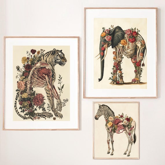 Whimsical Animal Anatomy Tiger Elephant Zebra Art Print