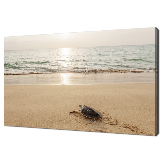 Baby Sea Turtle Crawling On Sandy Beach Toward Ocean Sunset Wildlife Print Poster