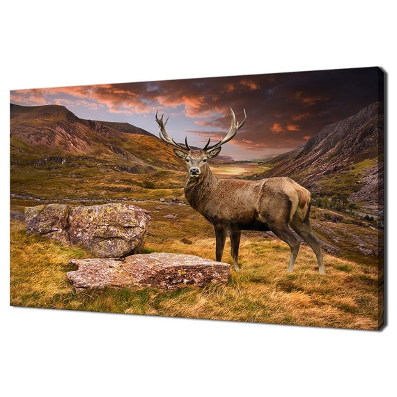 Red Deer Stag, Modern Design Art Print