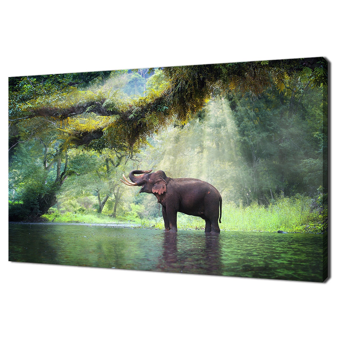 Majestic Wild Elephant Standing at a Sunlit Rainforest River Wall Art