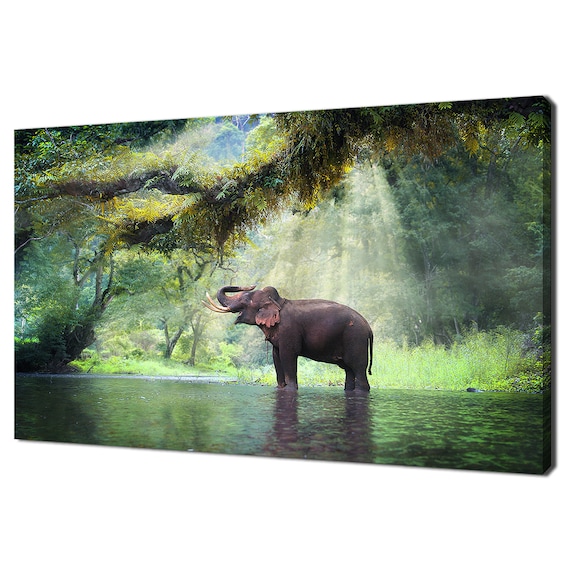 Majestic Wild Elephant Standing at a Sunlit Rainforest River Wall Art