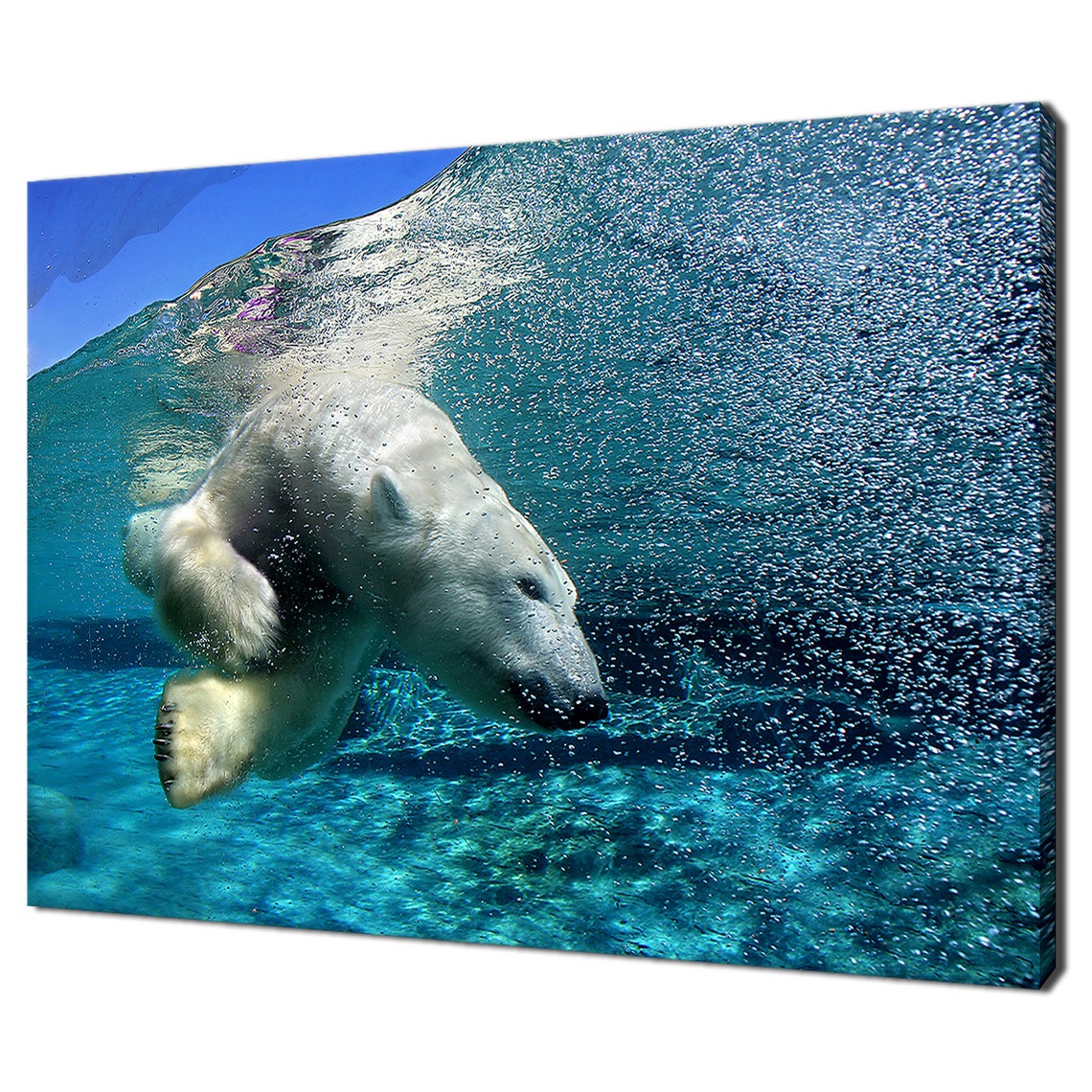 Polar Bear Diving Underwater Blue Ocean Wildlife Photography Wall Art
