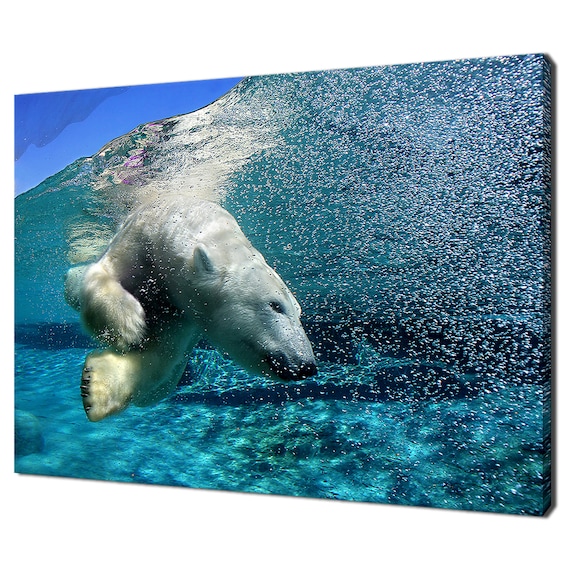 Polar Bear Diving Underwater Blue Ocean Wildlife Photography Wall Art