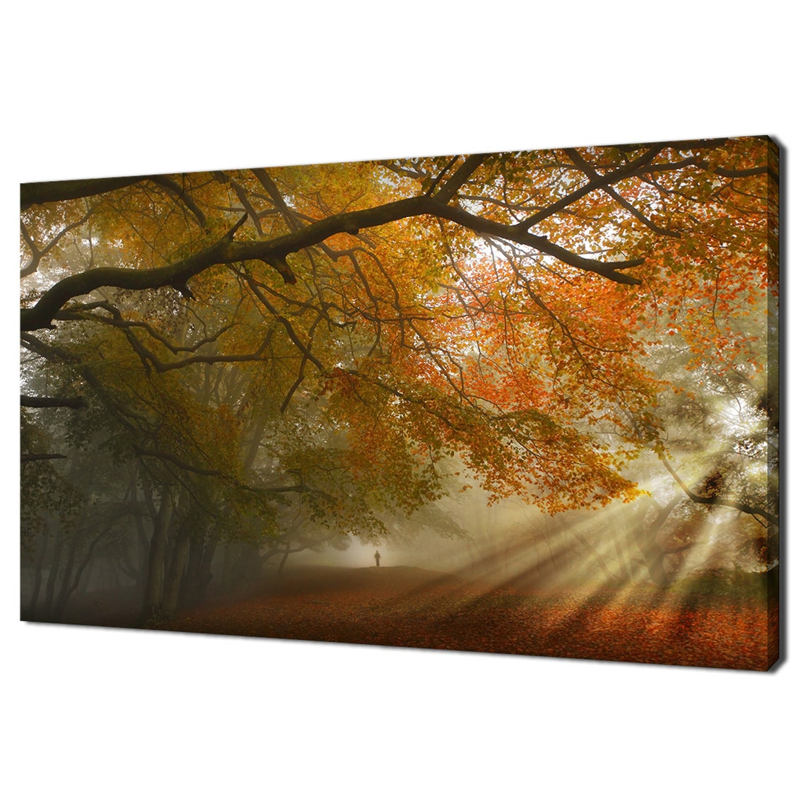 Autumn Forest Misty Path Sunrays Through Fall Foliage Wall Art