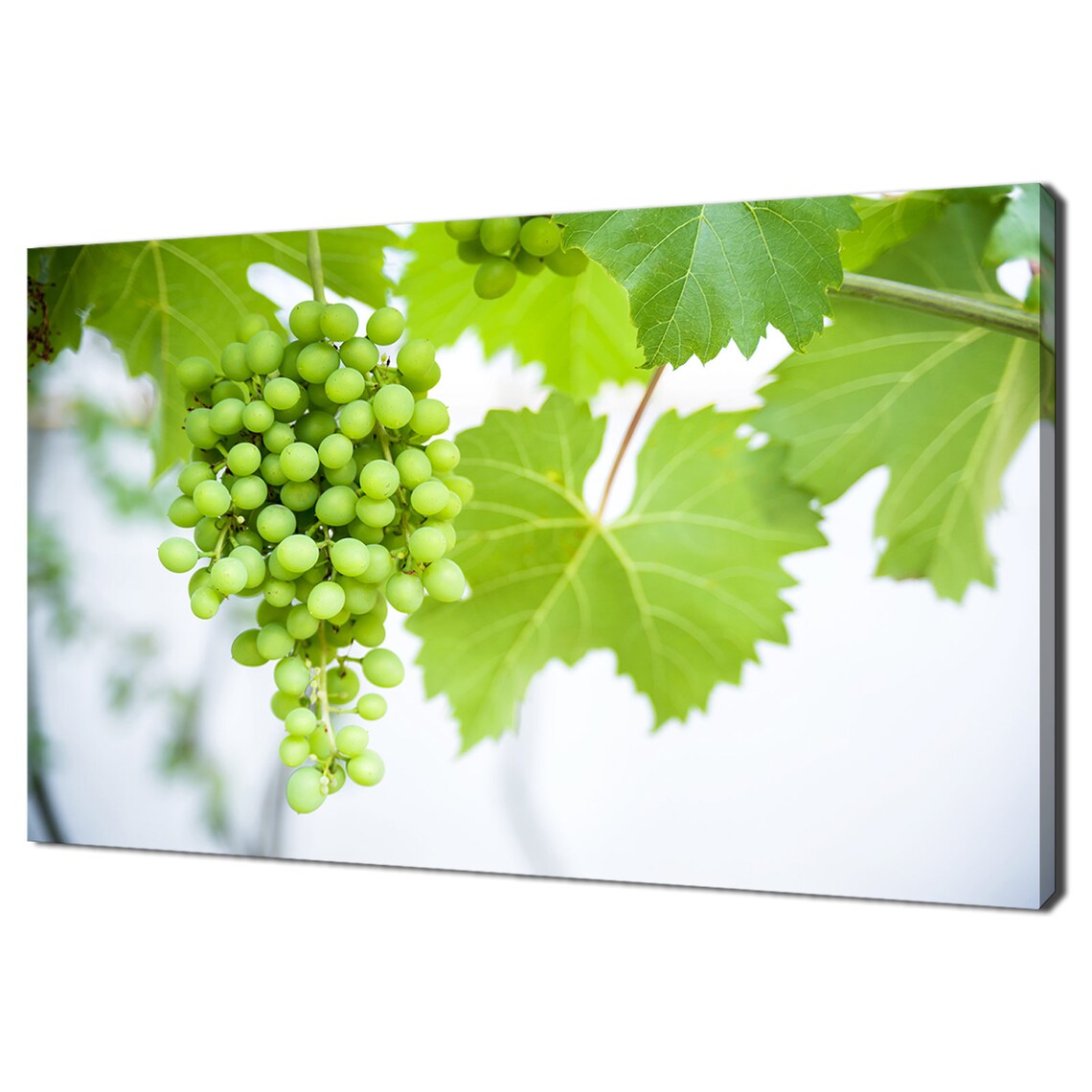Green Grapes On Branch Fruits Kitchen Modern Design Home Decor Print Wall Art Picture