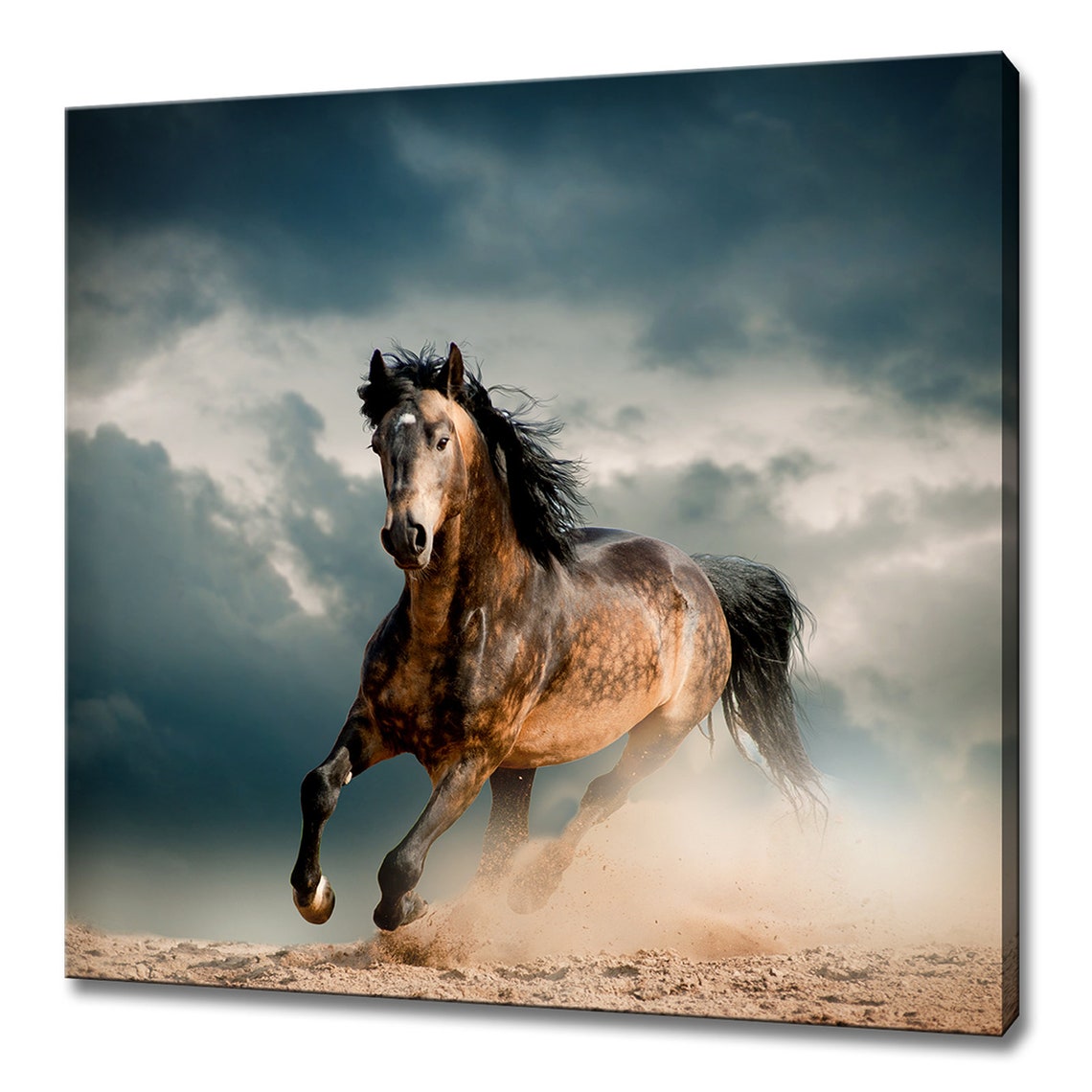 Wild Brown Stallion Galloping Dust Dramatic Storm Sky Poster