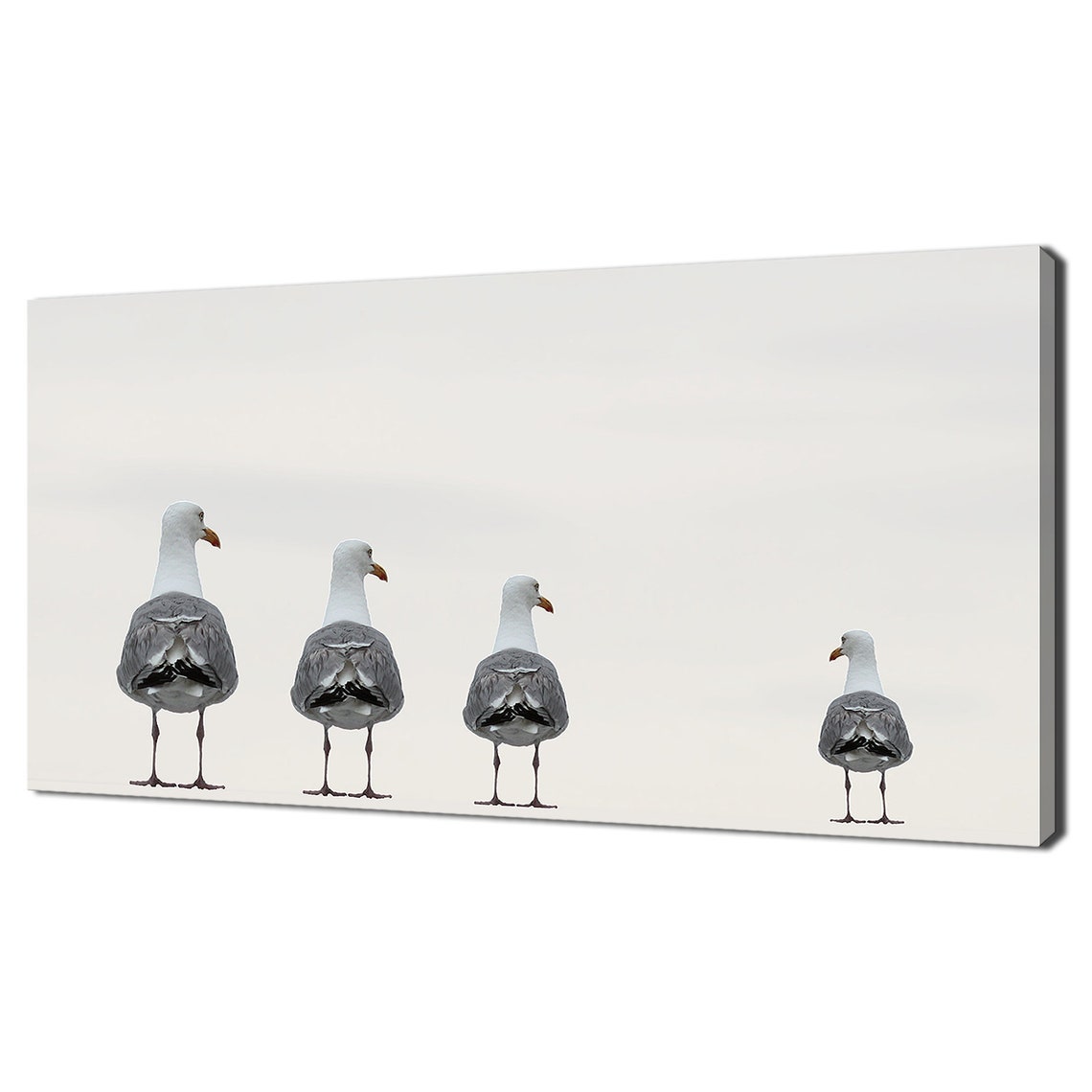 Seagulls In A Row Minimalist Birds Photography Coastal Wall Art Print