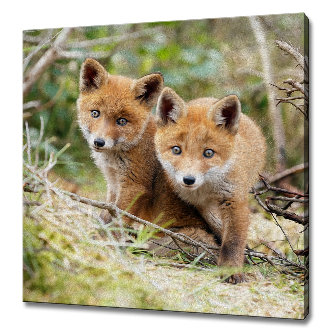 Two Red Fox Cubs Oil Painting Forest Animals Realistic Art Poster