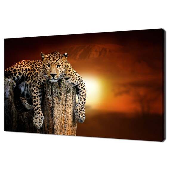 Leopard Resting On Tree Trunk At Fiery Sunset Safari Wildlife Animal Poster