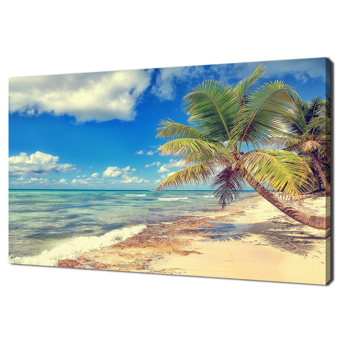 Tropical White Sandy Beach With Palm Trees, Modern Design