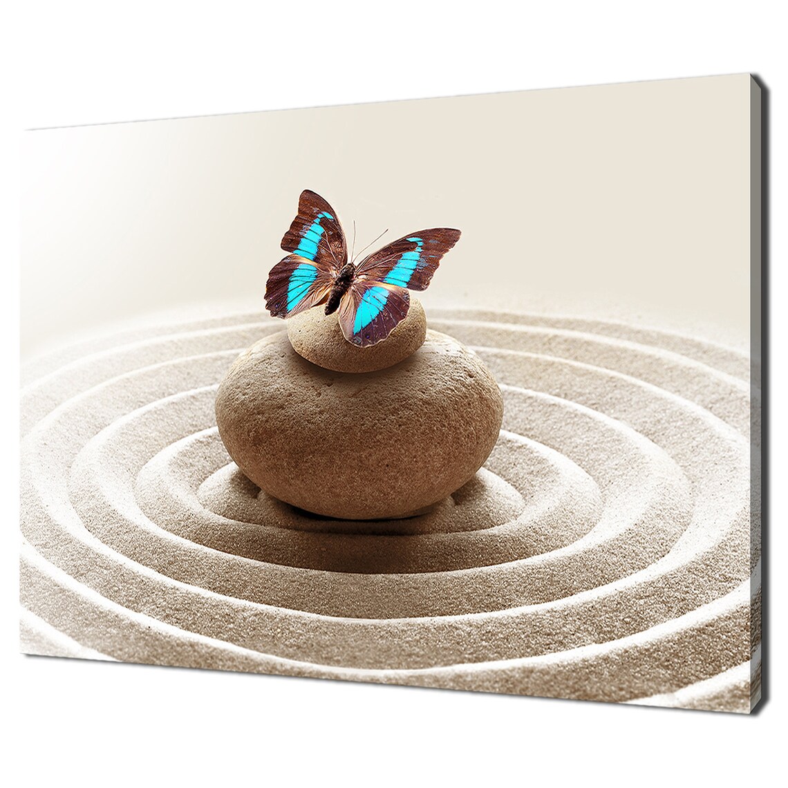 Blue Butterfly Stones and Circles Zen Wall Art Print