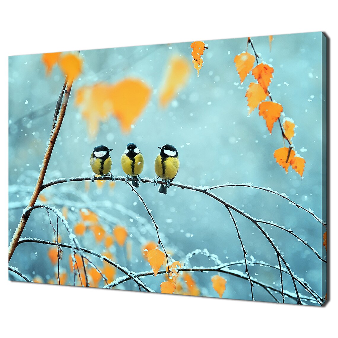 Three Little Birds, Modern Bird Art Print