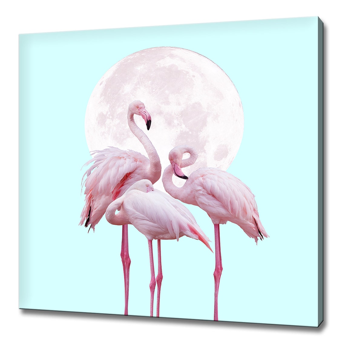 Pink Flamingos Full Moon Turquoise Pastel Tropical Bird Poster
