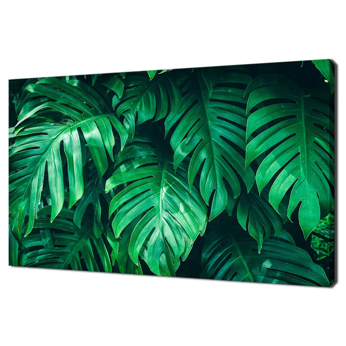Dark Green Monstera Leaves Moody Jungle Canopy Tropical Photo Poster