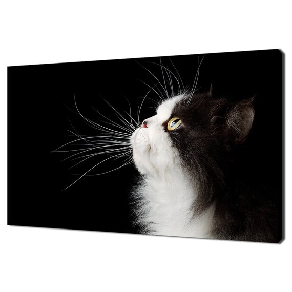 Black And White Cat Profile Golden Eye Dramatic Feline Portrait Poster