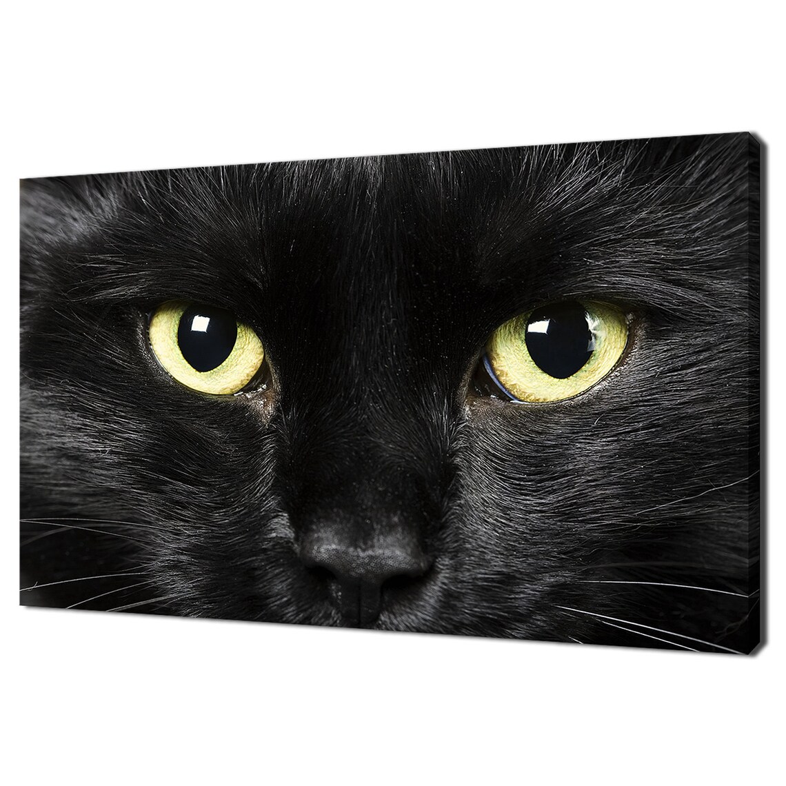 Black Cat Close Up Bright Yellow Green Eyes Portrait Photography Poster