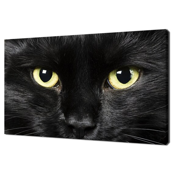 Black Cat Close Up Bright Yellow Green Eyes Portrait Photography Poster