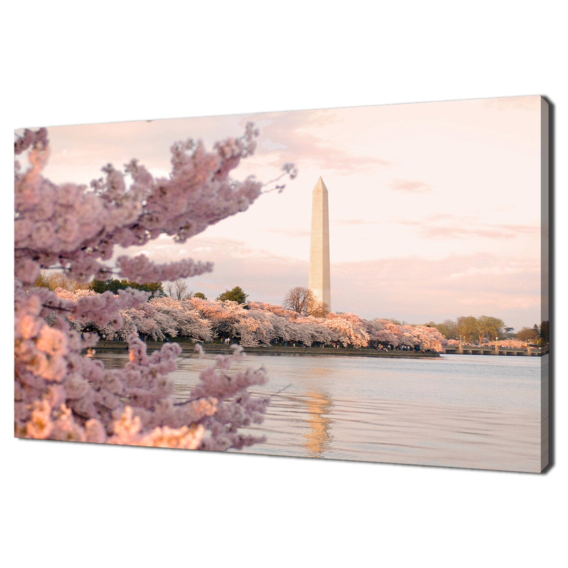Washington Monument Cherry Blossoms Spring Festival DC Travel Poster