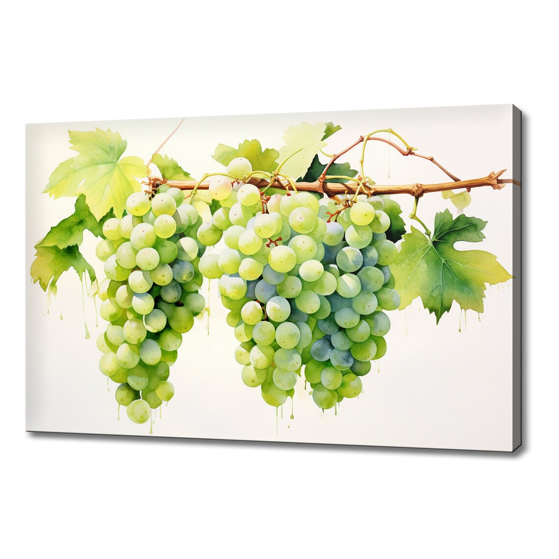 Green Grapes Tree Branch Watercolour Art Print