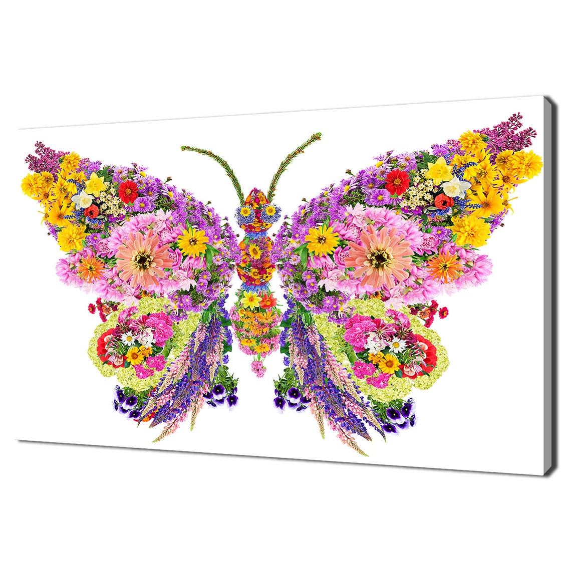 Colourful Flowers Butterfly Modern Design Home Decor Print Wall Art Picture