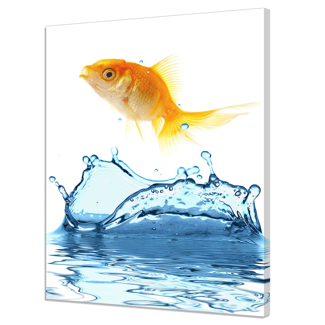 Golden Goldfish Leaping Out of Sparkling Blue Water Splash Wall Print