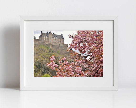 Edinburgh Castle Pink Cherry Blossom Spring Photography Art Print