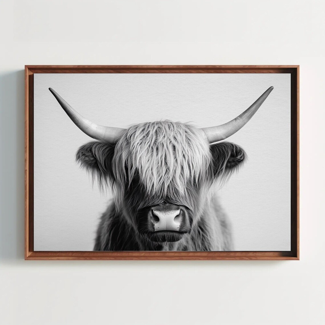 Black and White Highland Cow Portrait with Long Horns Poster