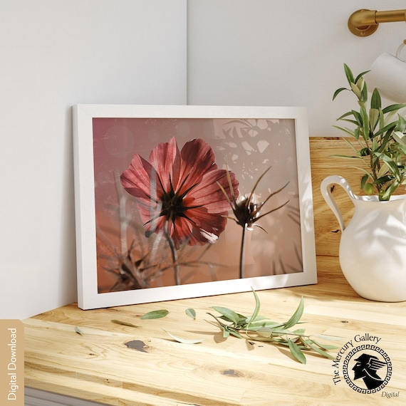 Pink Cosmos Wall Art Poppy Poster Print Country Living Style Minimal Botanical Floral