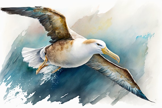 Albatross Watercolor Animal Prints Instant Art For Farmhouse Or Rustic Decor Wide Range Of Animals And Sizes