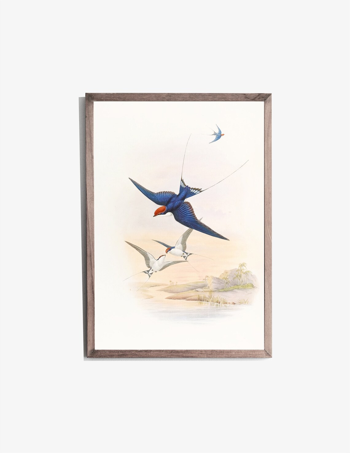 Swallows in Flight Vintage Bird Illustration Over Water Wall Art - Image 2
