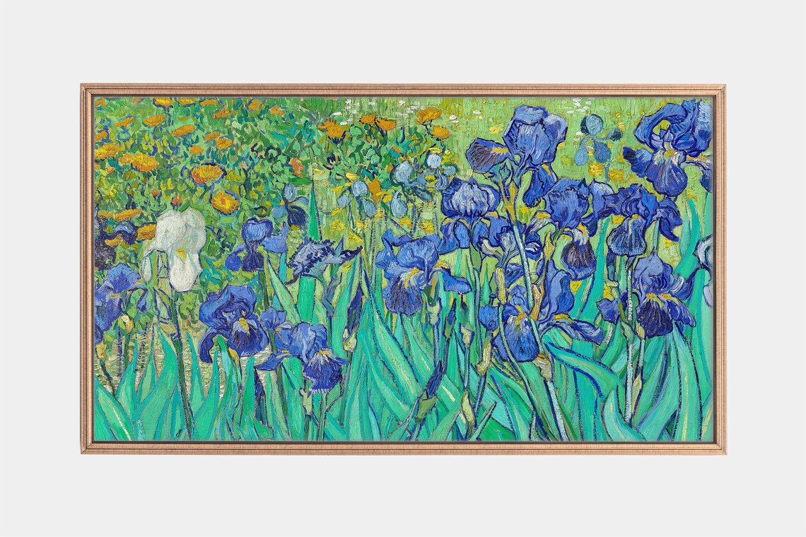 Van Gogh Irises Blue Floral Garden Famous Oil Painting Masterpiece Wall Art