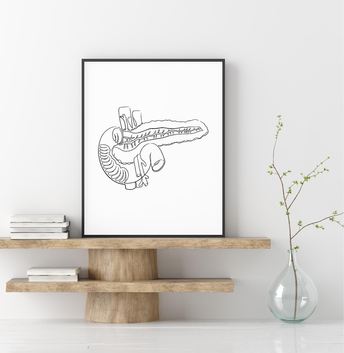 Pancreas Anatomy Line Art Medical Organ Illustration Modern Poster - Image 2
