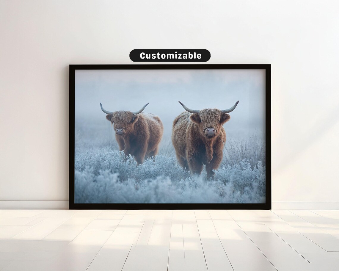 Highland Cows Frosty Field Poster Winter Morning Photo Decor